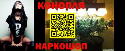 прущая мука Гай