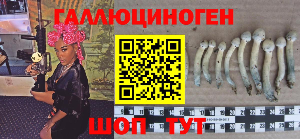 Галлюциногенные грибы Cubensis Железногорск